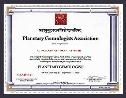 Astrologer Vishwanath Shastri Ji 